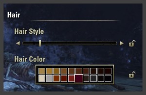 Character creation - What color and style will your hair be?
